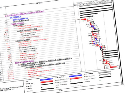 Project plan